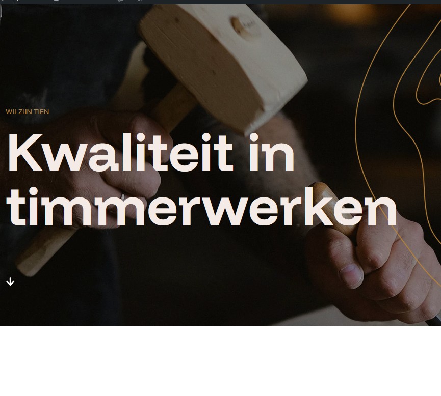 Website van Tien-Timmerwerken